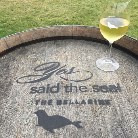 Yes Said The Seal - Great Ocean Road Tourism 1