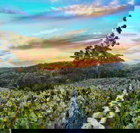 Between the Vines Cellar Door - Great Ocean Road Tourism