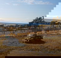 Overtime vineyard - Great Ocean Road Tourism