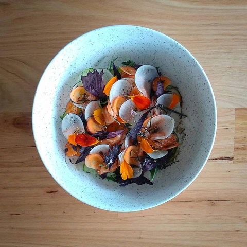 Pachinko - Great Ocean Road Tourism 0