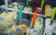 Yamba Icecreamery - thumb 1