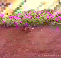 Dome - East Victoria Park - Great Ocean Road Tourism