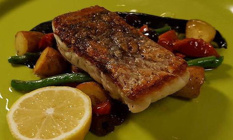 Afghan Marco Polo - Great Ocean Road Tourism 1