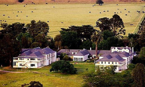 Eleonore's - Great Ocean Road Tourism 5