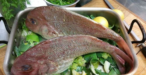 Harry's On The Esplanade - Great Ocean Road Tourism 21