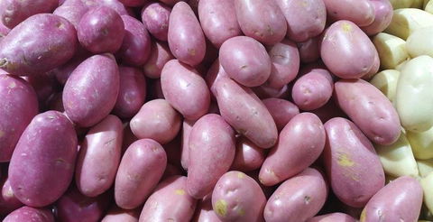 Harry's On The Esplanade - Great Ocean Road Tourism 23