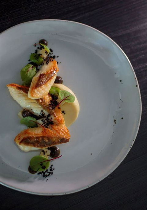 Allium Restaurant & Bar - Great Ocean Road Tourism 7