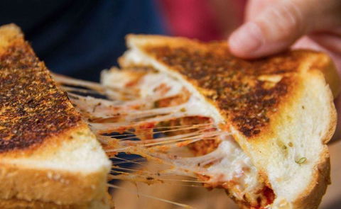 Livingstone's Urban Jungle - Great Ocean Road Tourism 3