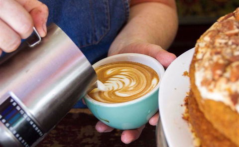 Livingstone's Urban Jungle - Great Ocean Road Tourism 4