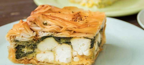 Livingstone's Urban Jungle - Great Ocean Road Tourism 5