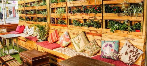 Livingstone's Urban Jungle - Great Ocean Road Tourism 6