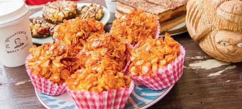 Livingstone's Urban Jungle - Great Ocean Road Tourism 7