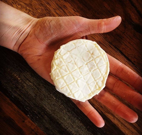 Greasy Zoes - Great Ocean Road Tourism 13