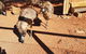 Erldunda Roadhouse - thumb 1
