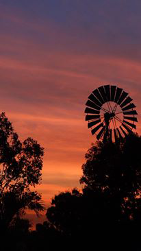 Emerald Springs Roadhouse - Great Ocean Road Tourism 4