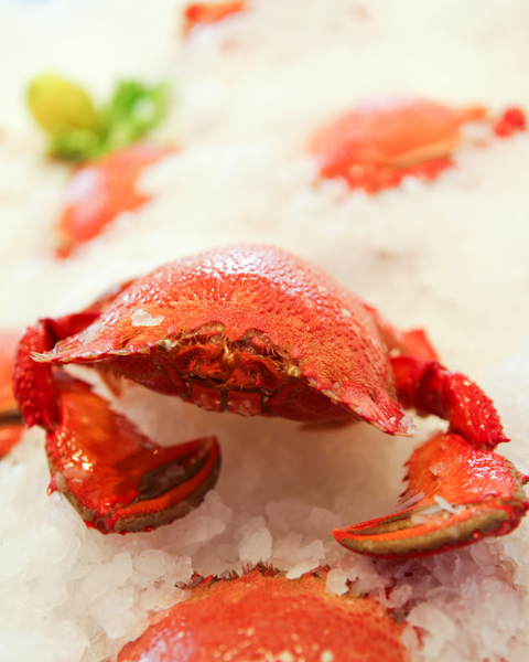 Point Cartwright Seafood Market - Great Ocean Road Tourism 2