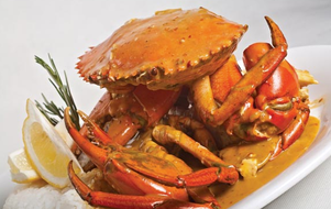 Hamilton Island Restaurants and Takeaway Great Ocean Road Tourism Great Ocean Road Tourism