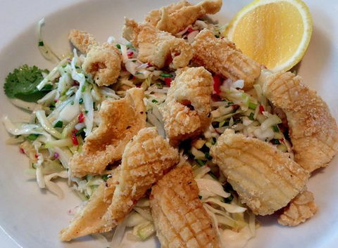 Crocodile Farm Hotel - Great Ocean Road Tourism 0