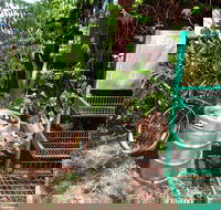 Larrimah Pink Panther Hotel - Great Ocean Road Tourism