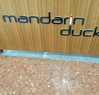 Mandarin Duck - Great Ocean Road Tourism