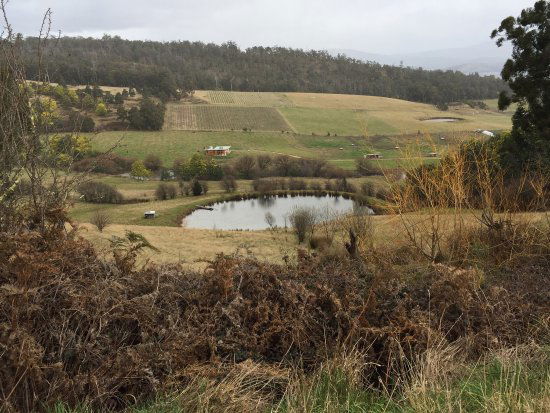 Glaziers Bay TAS Great Ocean Road Tourism