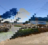 Penguin  Pardalote Coffee House