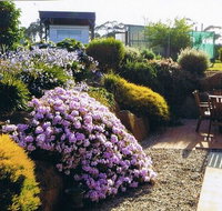 Pipers River Tea House and Crafts - Great Ocean Road Tourism
