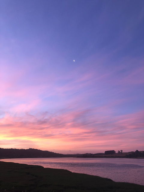 Rosevears Hotel - Great Ocean Road Tourism 4