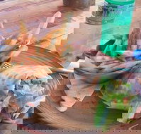 Nando's Ellenbrook - Great Ocean Road Tourism