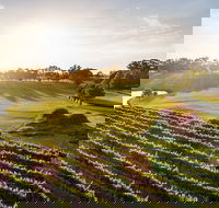 Sandalford Restaurant - Great Ocean Road Tourism