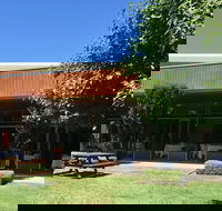 Wild Swan - Great Ocean Road Tourism