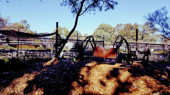 Hazelmere WA Great Ocean Road Tourism