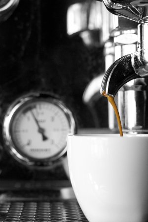 Blackwood Cafe - Great Ocean Road Tourism 0