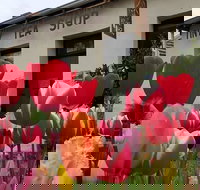 Tiny Tea Shop - Great Ocean Road Tourism