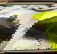 Baker Bear's Bakery - Great Ocean Road Tourism