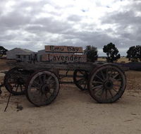 Emu Bay Lavender - Great Ocean Road Tourism