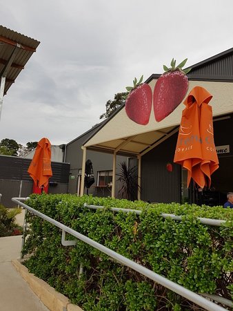 Green Valley Strawberries - Great Ocean Road Tourism 0