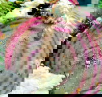 Thunderbird Kitchen - Great Ocean Road Tourism