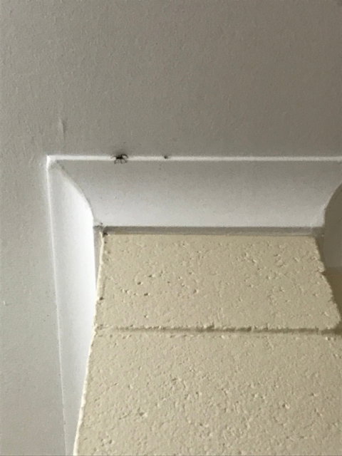 Anglers Inn Restaurant - Great Ocean Road Tourism 7