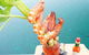CJ's Crab Shack - thumb 1