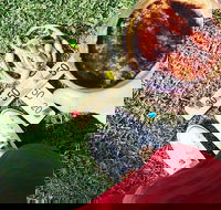 Malarkey Artisan Coffee - Great Ocean Road Tourism