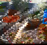 Island fruit Barn - Great Ocean Road Tourism