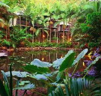 Daintree Eco Lodge  Spa - Great Ocean Road Tourism