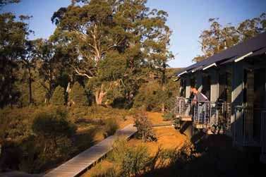 Cradle Mountain Wilderness Village - Great Ocean Road Tourism 2