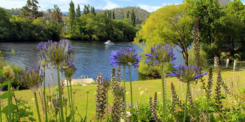Woodbridge On The Derwent - Great Ocean Road Tourism 3