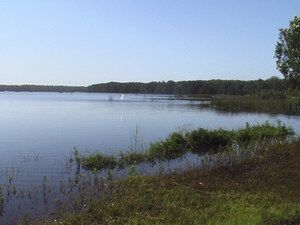 Cabarita Lake Apartments - Great Ocean Road Tourism 2