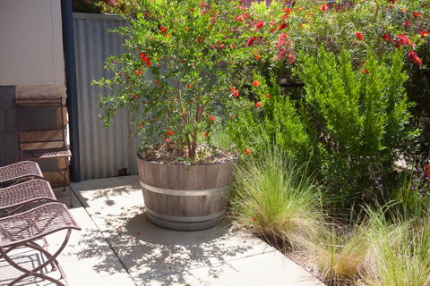 One Of A Kind Apartments - Great Ocean Road Tourism 15
