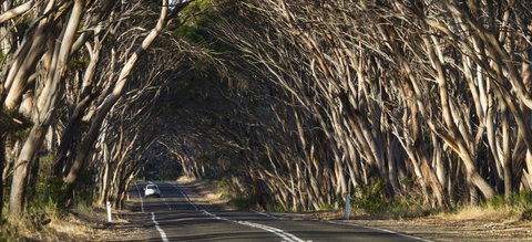 Mercure Kangaroo Island Lodge - Great Ocean Road Tourism 40