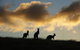 Sky House Kangaroo Island - thumb 37