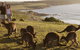 Kangaroo Island Seafront - thumb 13